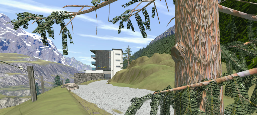 looking through a pine tree on the way up to the hotel entrance